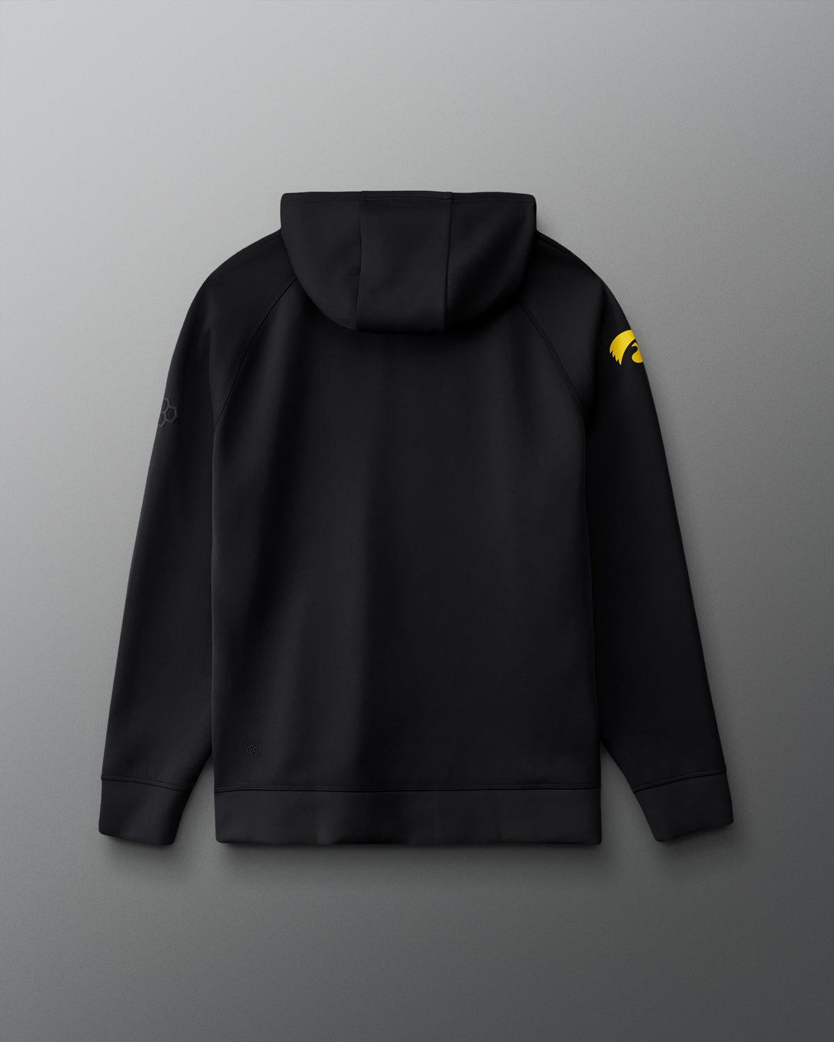 Back view of the RUDIS Iowa Hawkeyes Cool Feel Hoodie in black featuring a clean hooded design with gold Iowa Hawkeyes logo and tonal RUDIS branding on the sleeves.