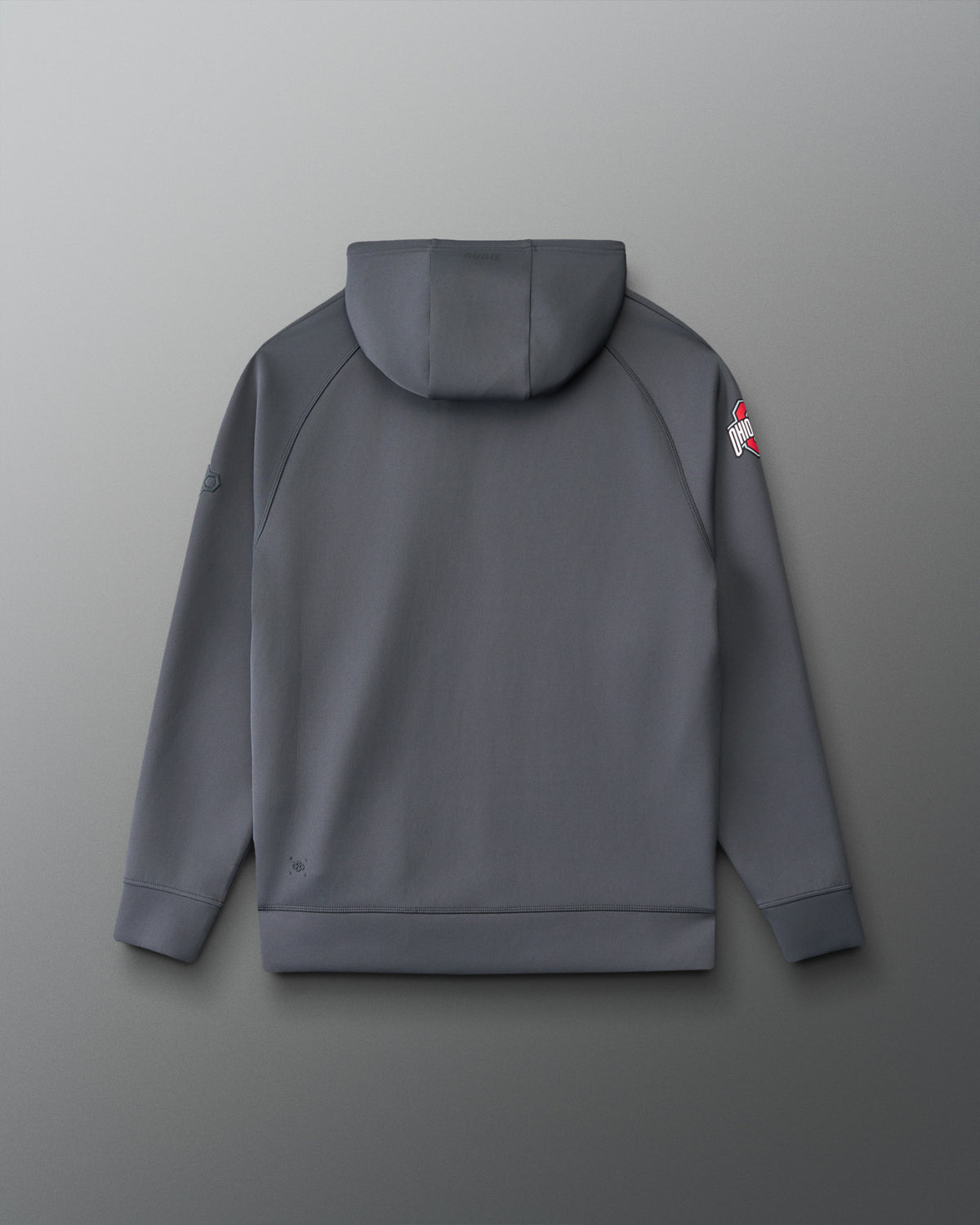 A dark gray hooded sweatshirt shown from the back, featuring a small red and white graphic on the left sleeve, photographed against a neutral gray background.