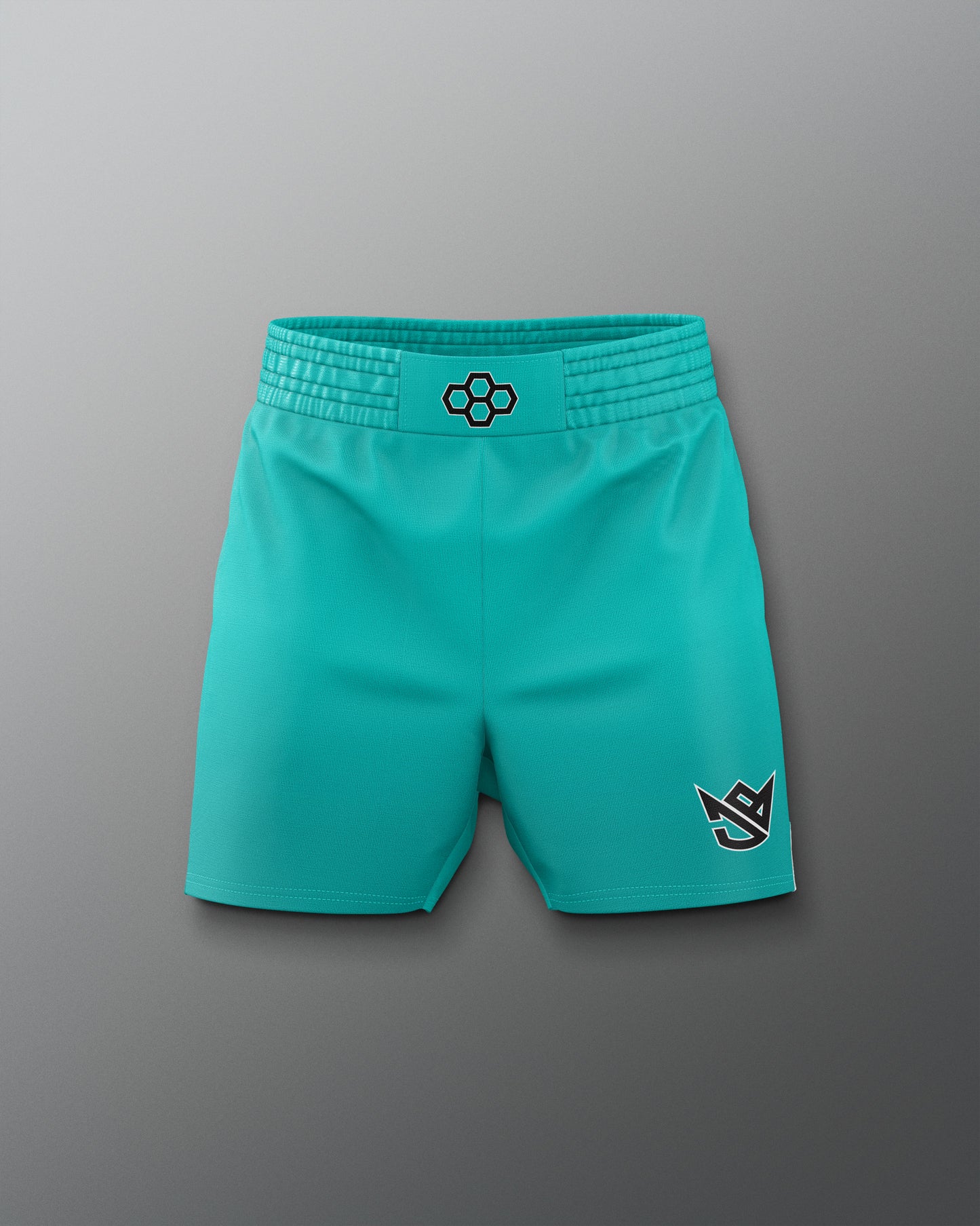 Turquoise shorts with black logos on a gray background