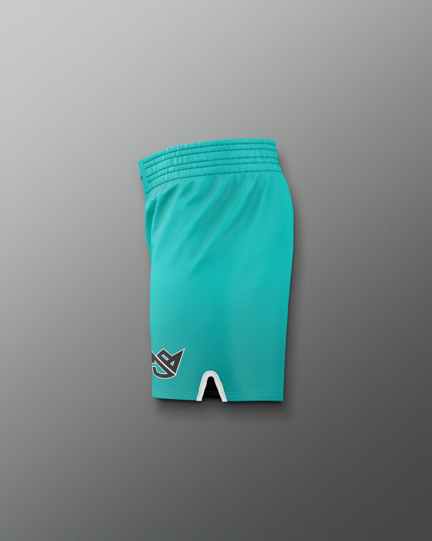 Teal shorts with a logo on a gray background