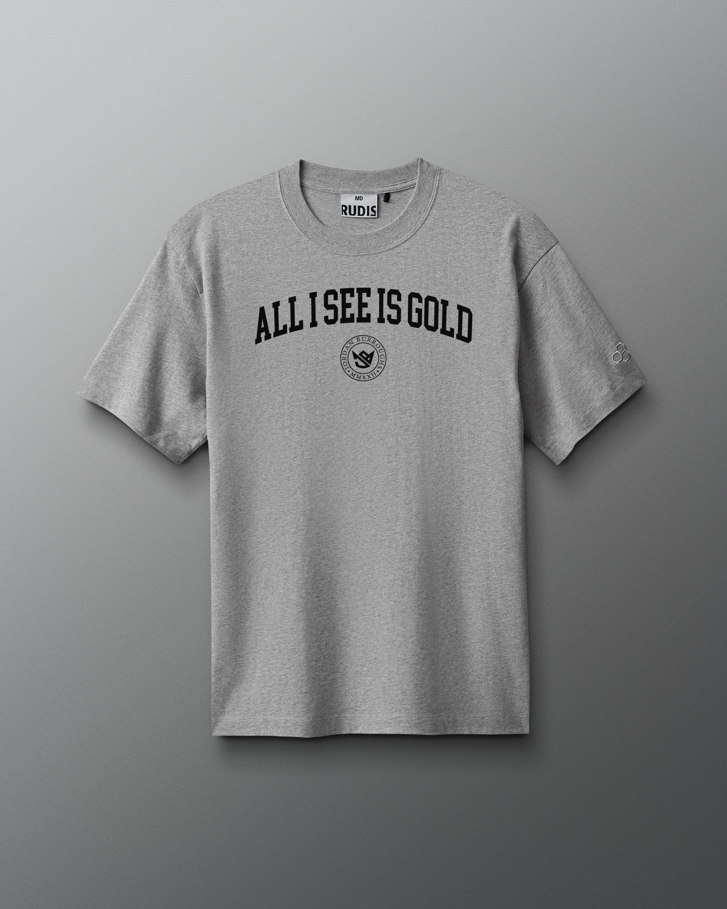 Gray t-shirt with 'All I See is Gold' text on a gray background