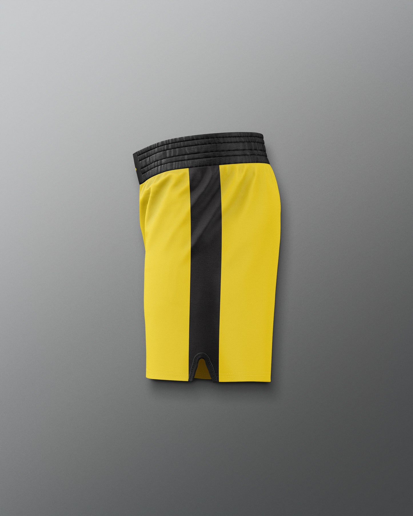 ROCKY III Rocky Elite Wrestling Shorts