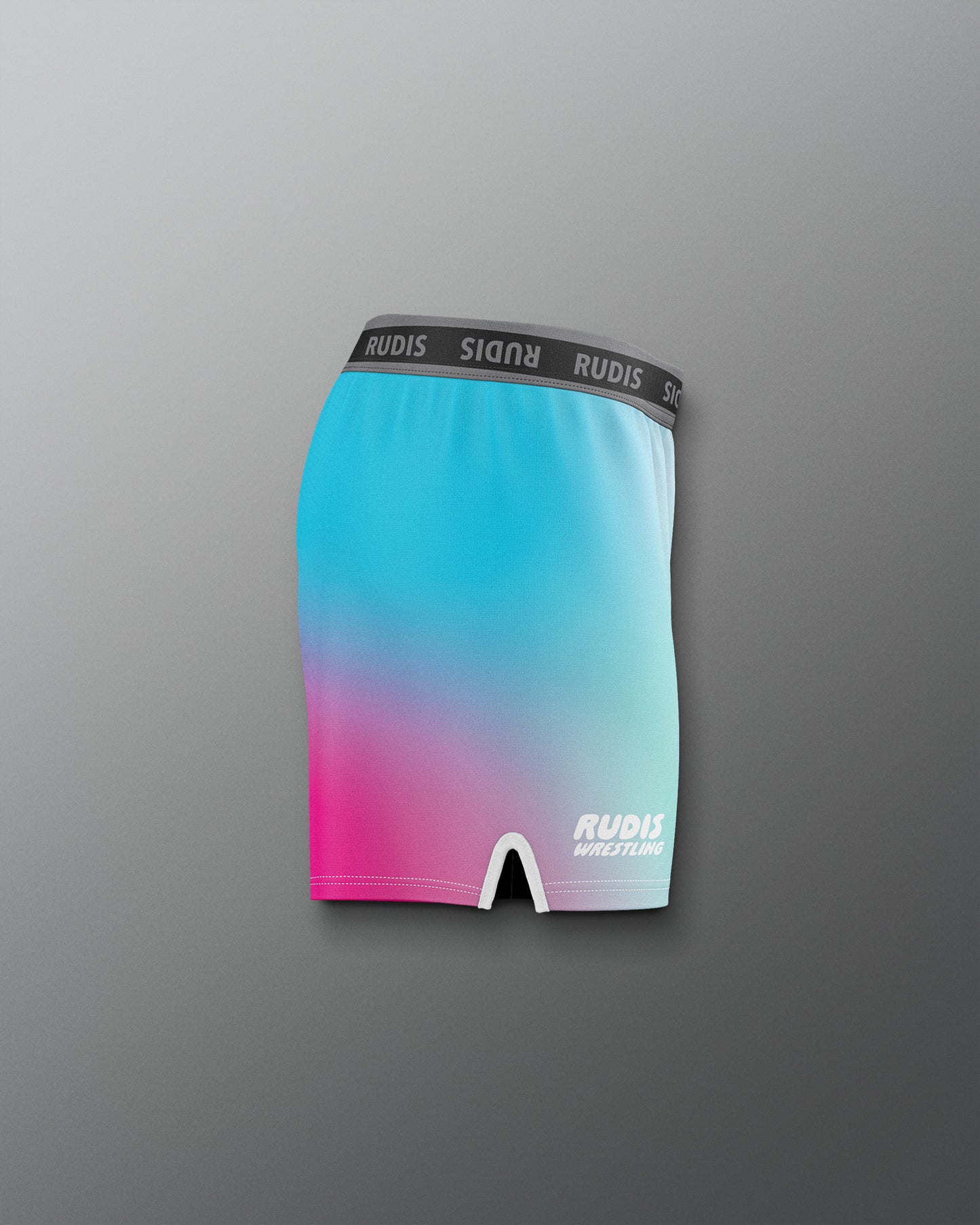 Gradient blue to pink athletic shorts with 'RUDIS' branding on a gray background