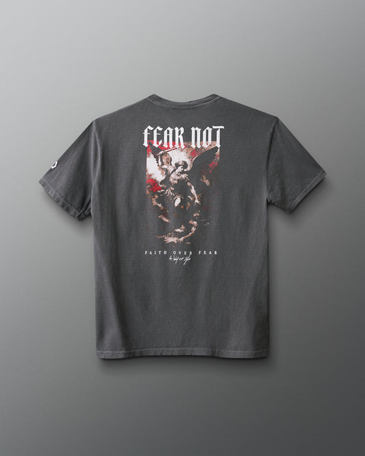 Gray t-shirt with graphic design and text on the back against a gray background