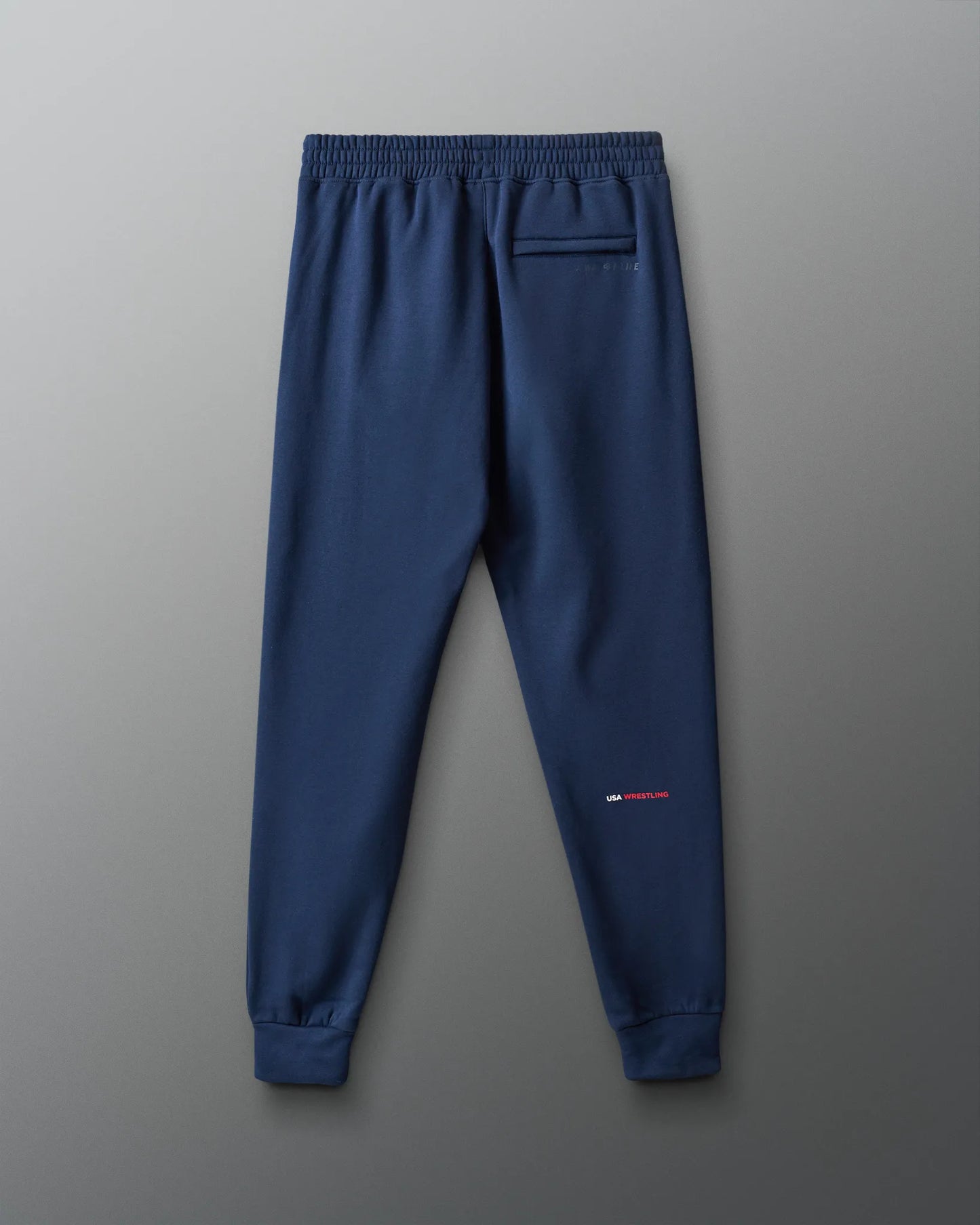 VIK - USA Wrestling Map Colorblock Jogger