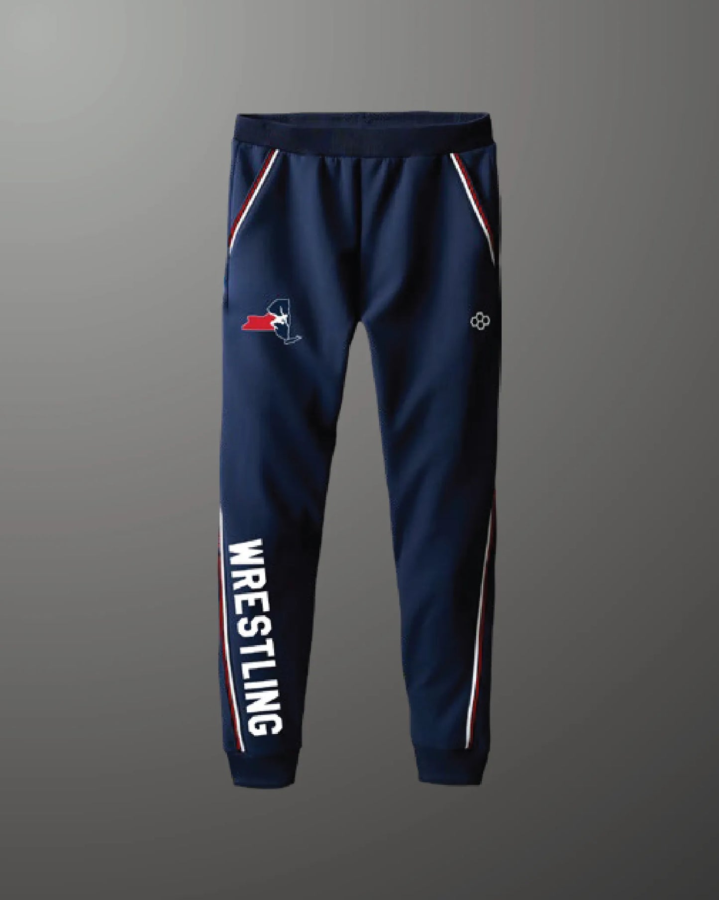 Team New York Youth Chronicle Elite Jogger