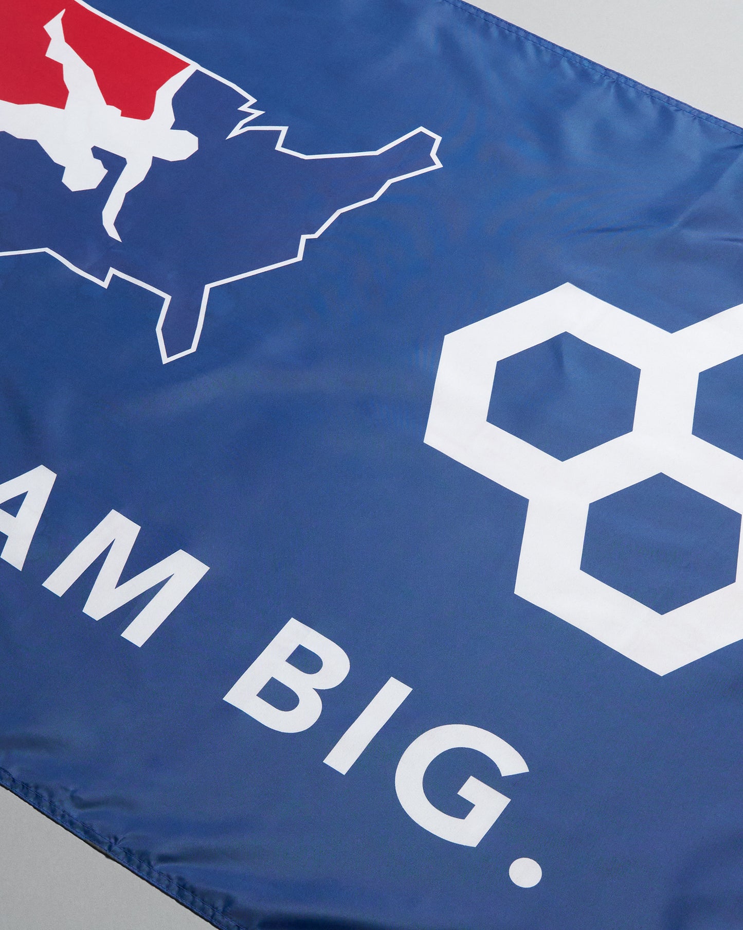 Blue flag with white text and logos on a gray background