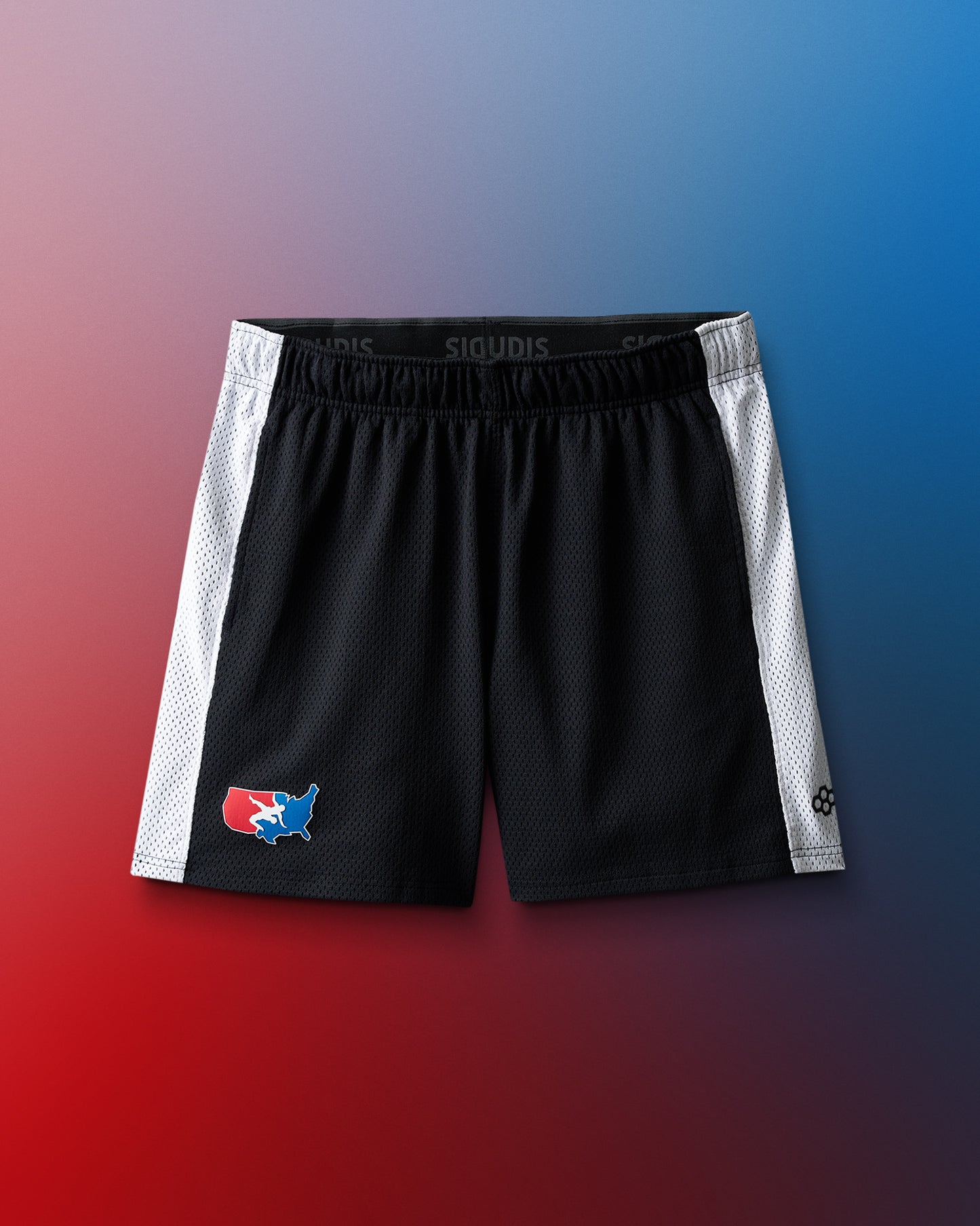 USA Wrestling 5" Panel Mesh Shorts