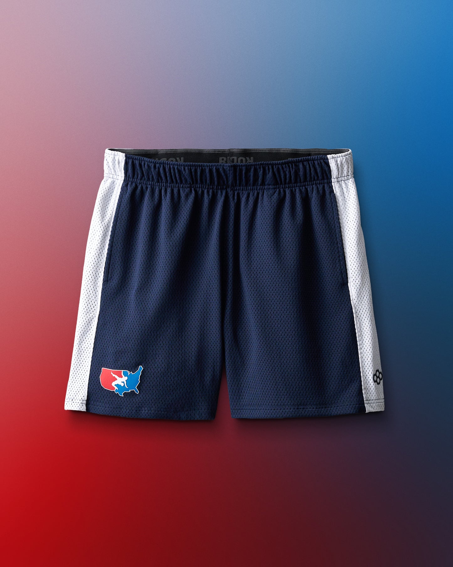 USA Wrestling 5" Panel Mesh Shorts