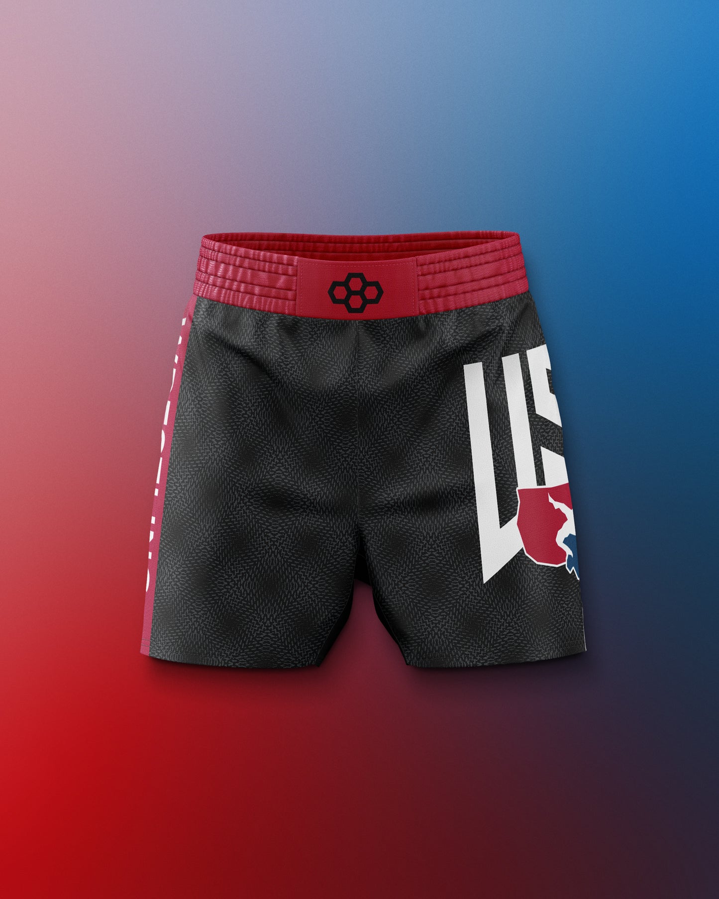 USA Dash Icon Sublimated Shorts