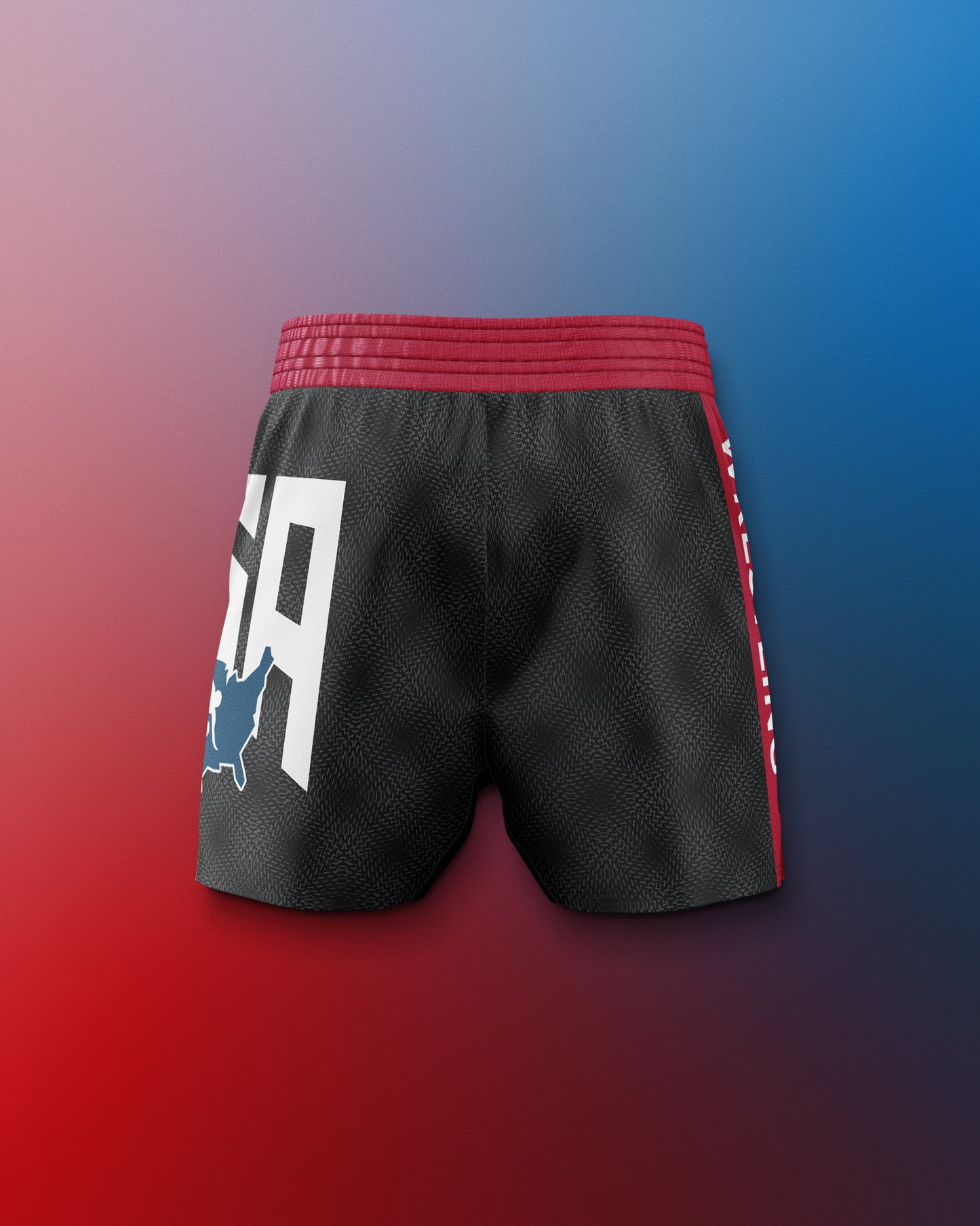 USA Dash Icon Sublimated Shorts