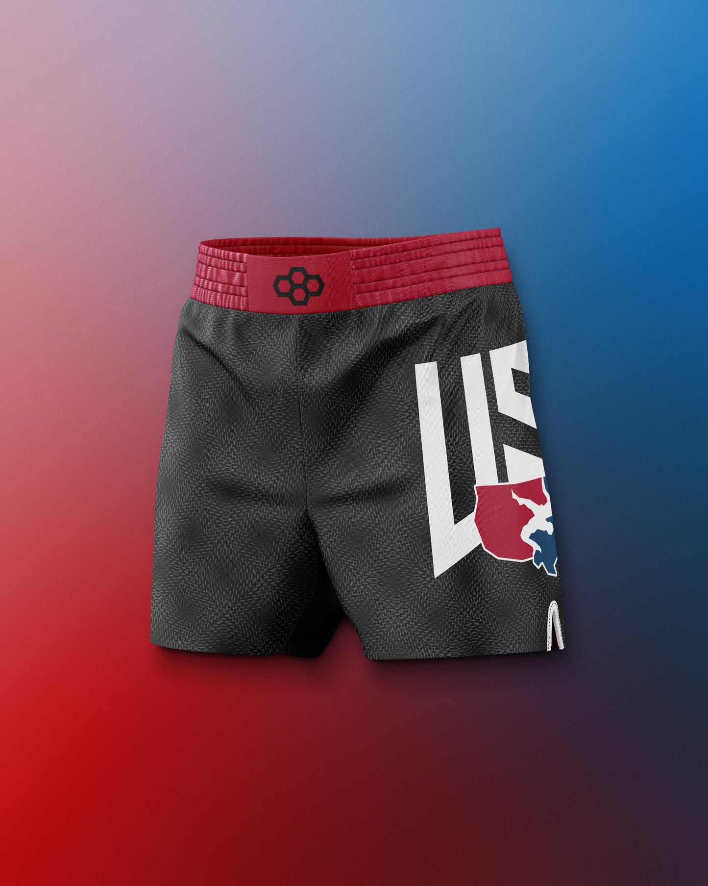 USA Dash Icon Sublimated Shorts