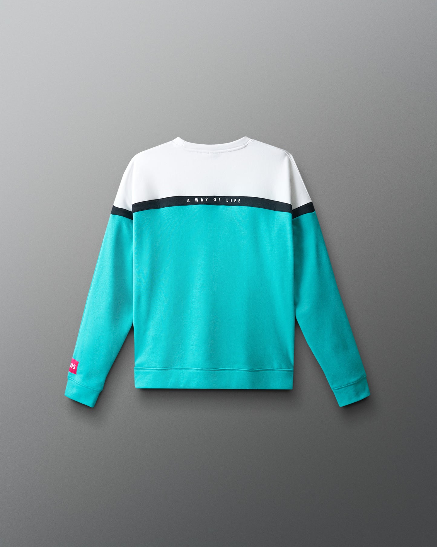 Wrestling Youth Colorblock Crewneck
