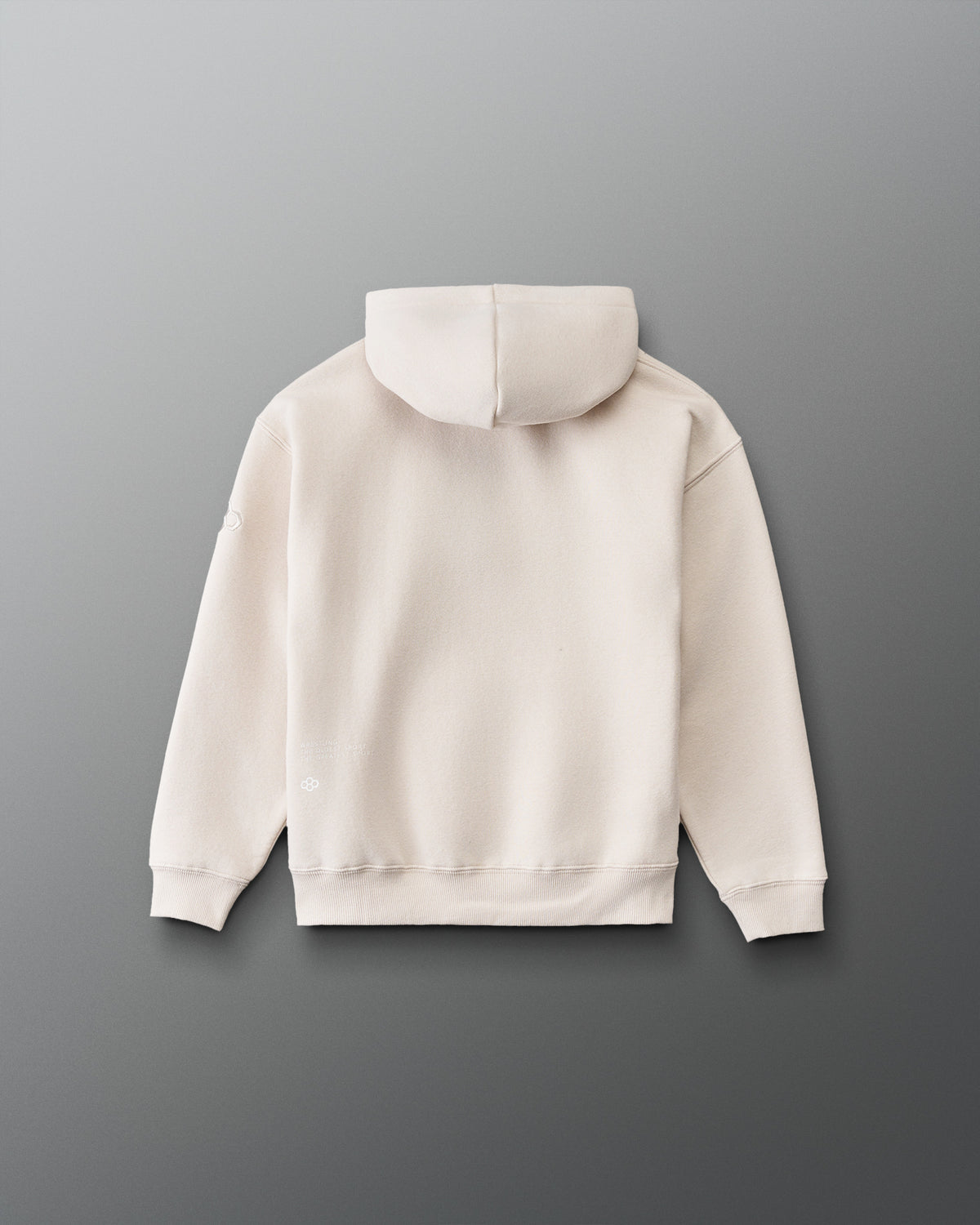 RUDIS Divine Struggle Youth Relaxed Comfort Fleece Hoodie in Bone, back view showing subtle lower-back branding, relaxed silhouette, and ribbed hem. Copy Alt Text