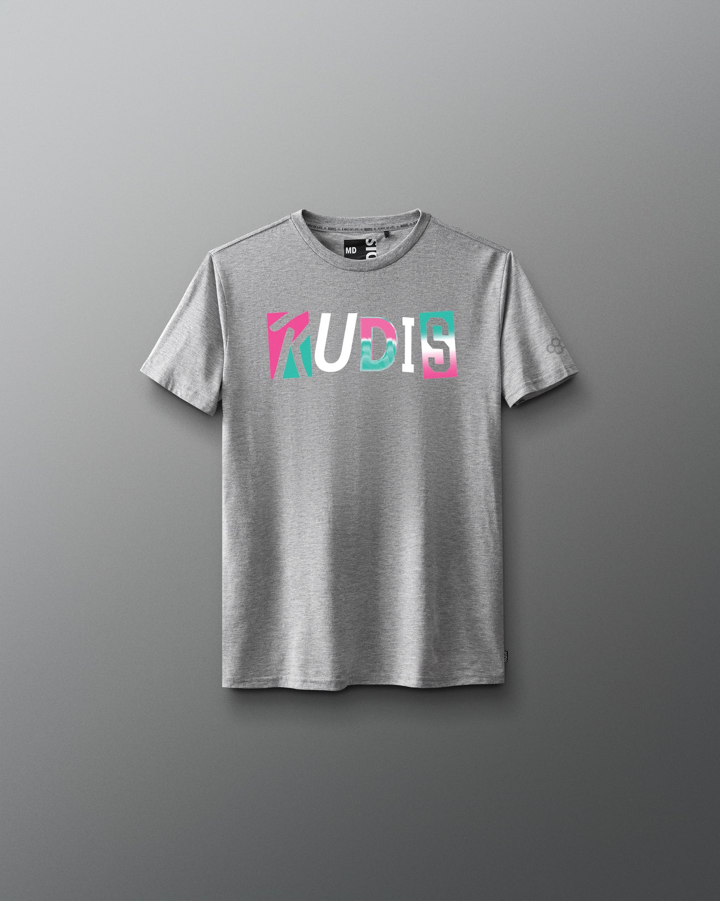 Gray t-shirt with colorful 'RUDIS' logo on a gray background