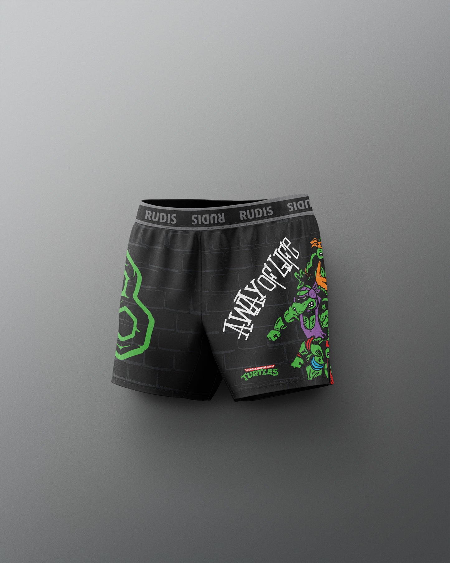 Black boxer briefs with colorful graphics and text on a gray background. TMNT. Teenage Mutant Ninja Turtle