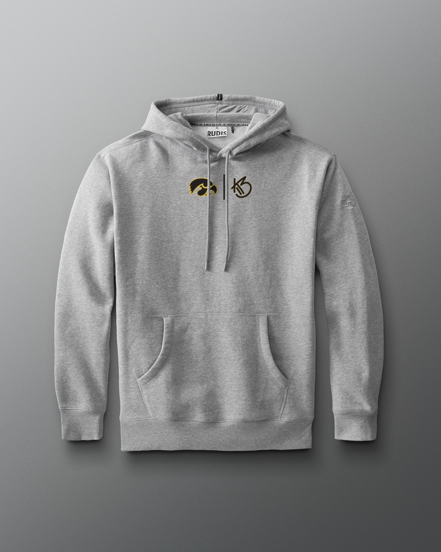 Gray hoodie with a logo on a gray background