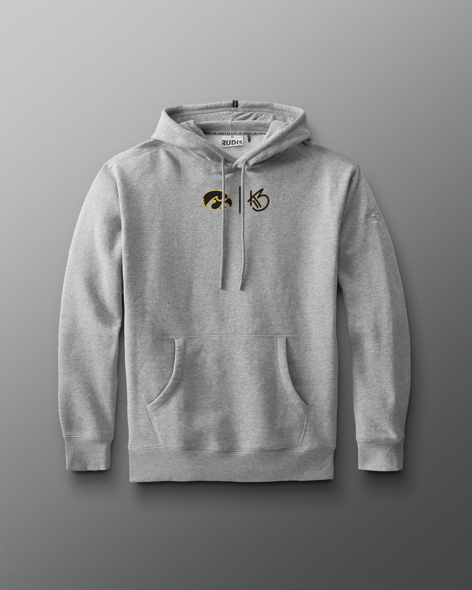 Gray hoodie with a logo on a gray background
