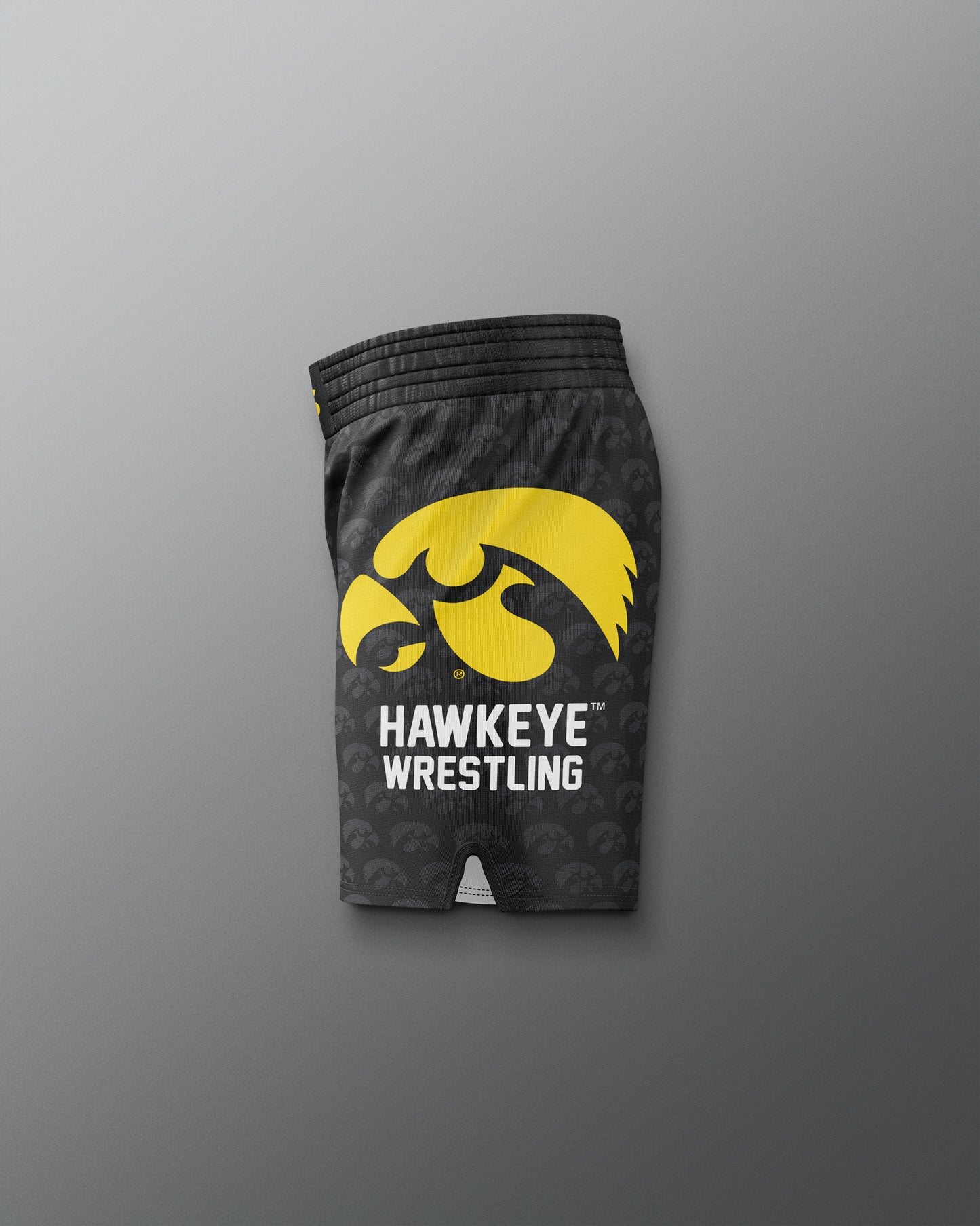 Iowa Hawkeyes Sublimated Elite Shorts