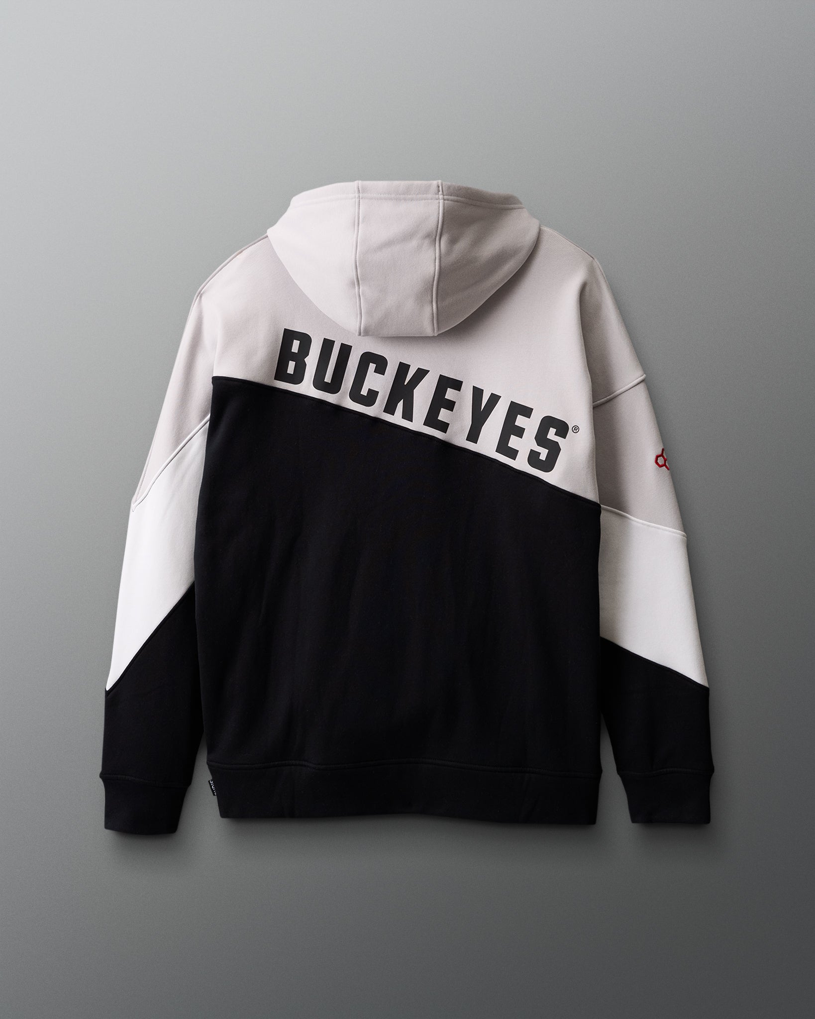 Ohio State Colorblock Hoodie | RUDIS