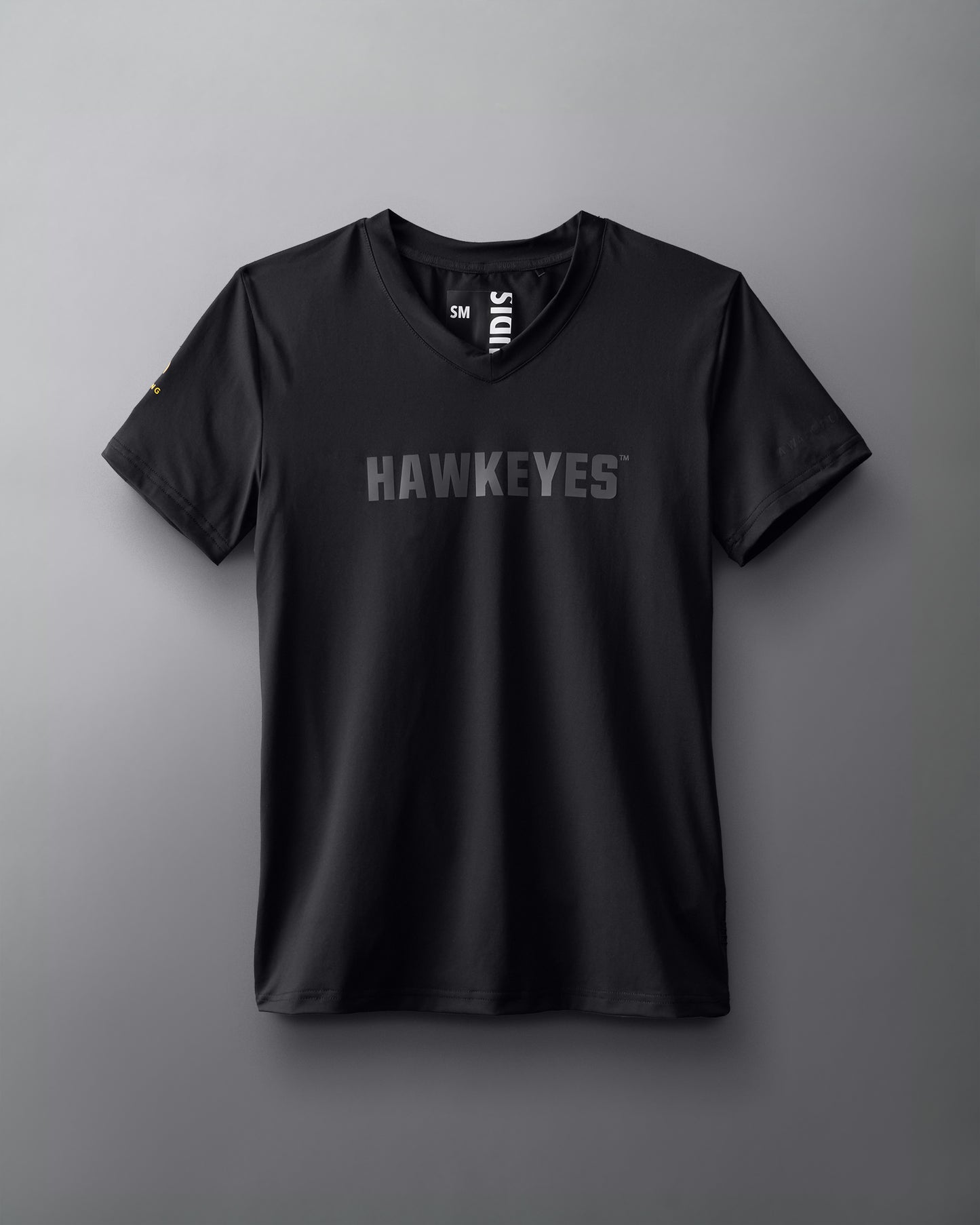 Hawkeyes Performance Women's V-Neck T-Shirt