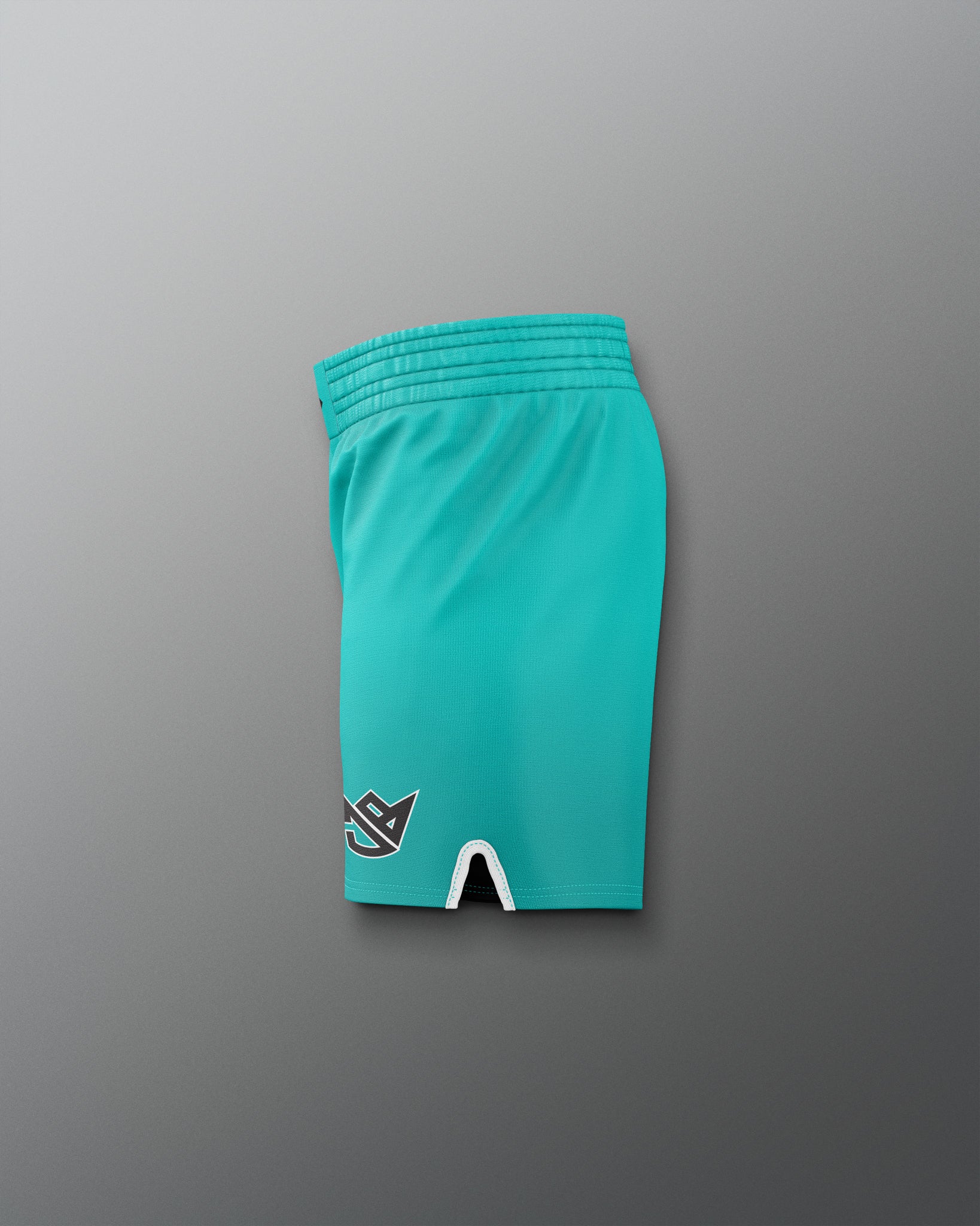 Teal shorts with a logo on a gray background