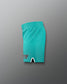 Teal shorts with a logo on a gray background