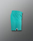Teal shorts on a gray background