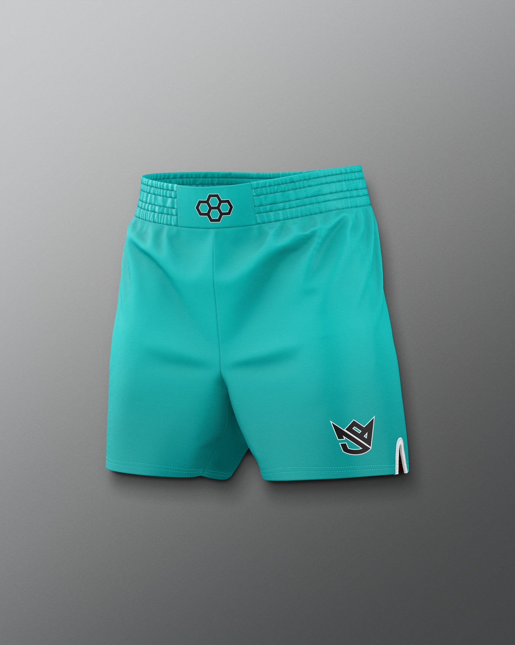 Teal shorts with brand logos on a gray background
