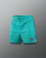 Teal shorts with brand logos on a gray background