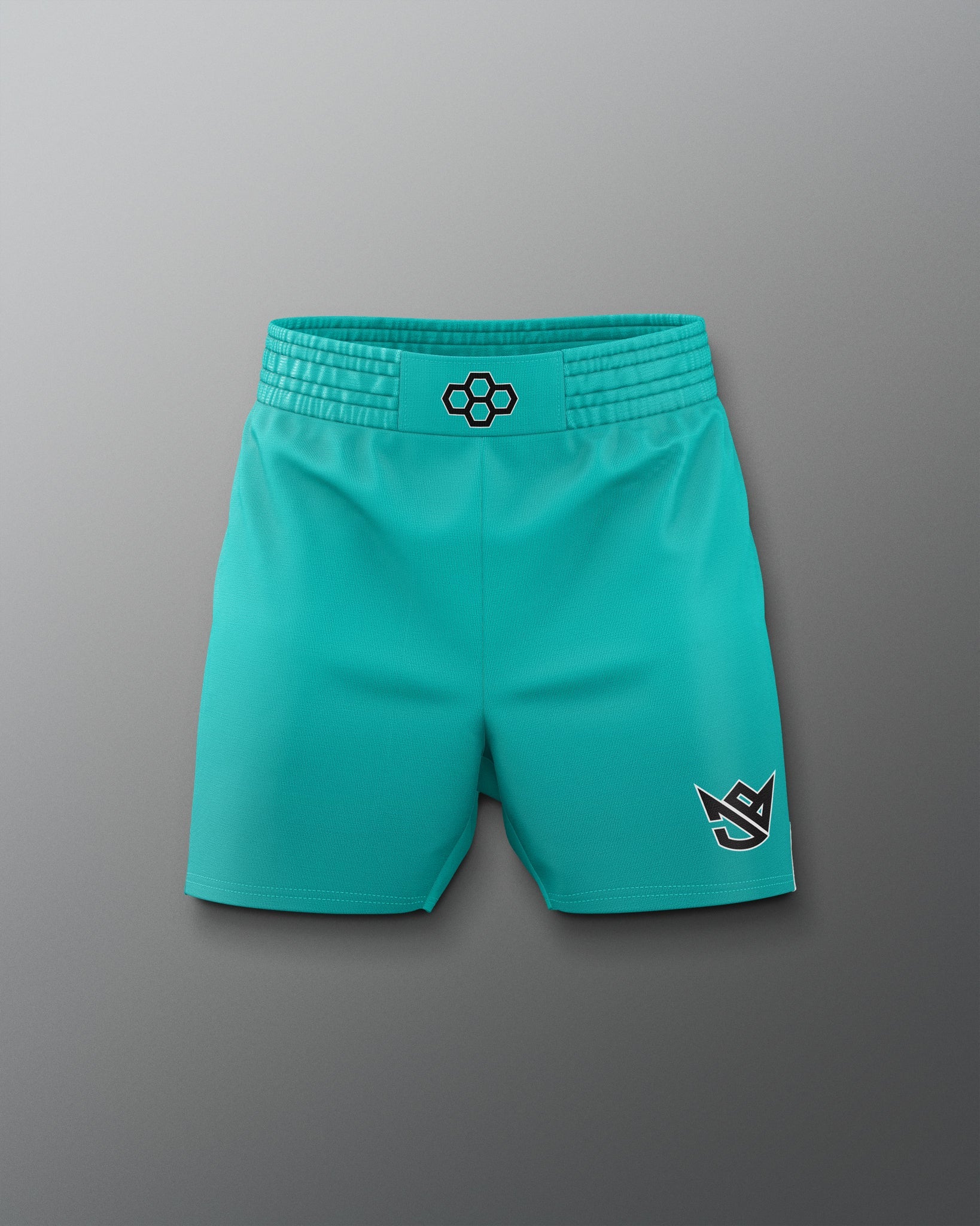 Turquoise shorts with black logos on a gray background