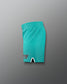 Teal shorts with a logo on a gray background