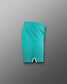 Teal shorts on a gray background