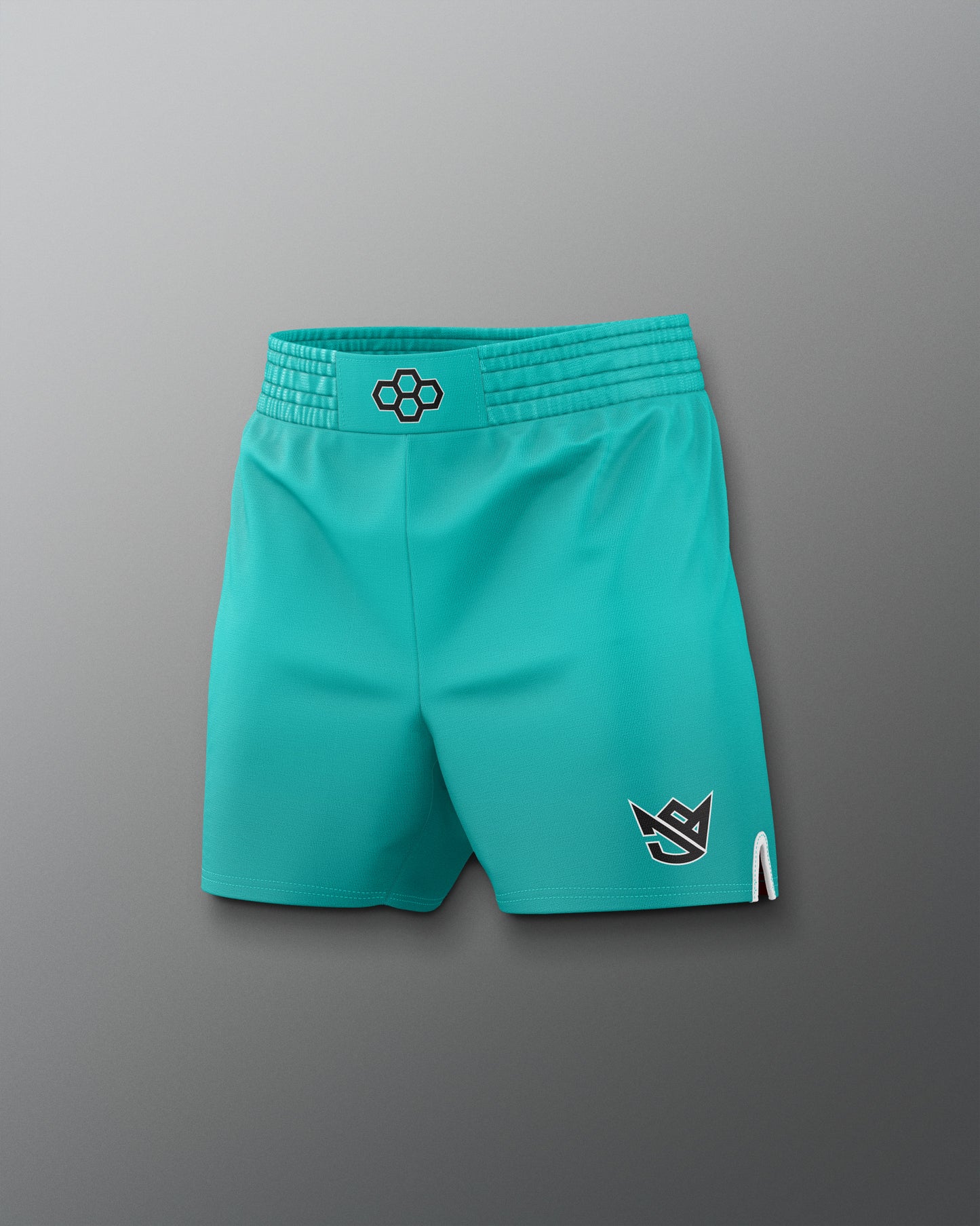 Teal shorts with brand logos on a gray background