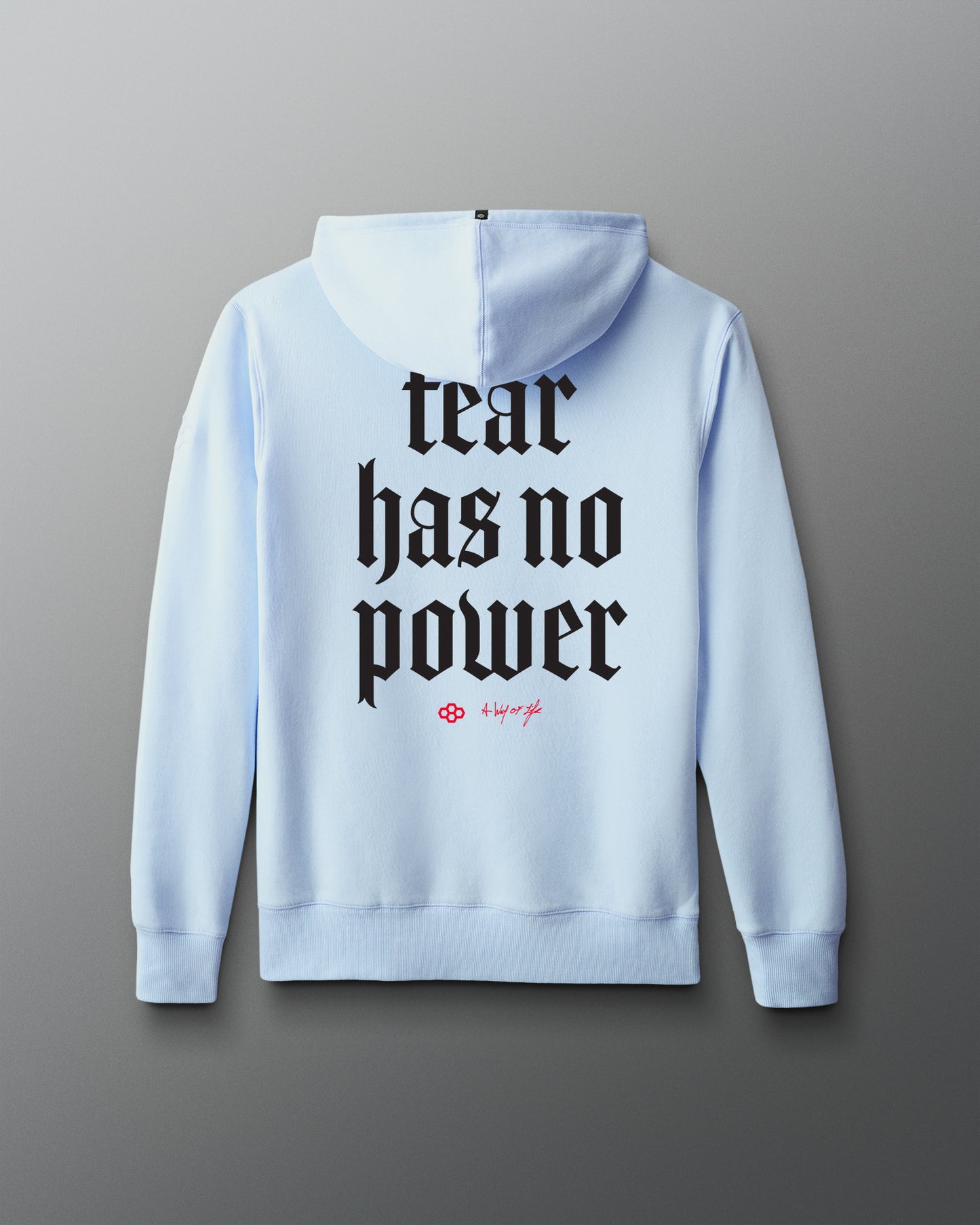 Light blue hoodie with 'fear has no power' text on the back against a gray background