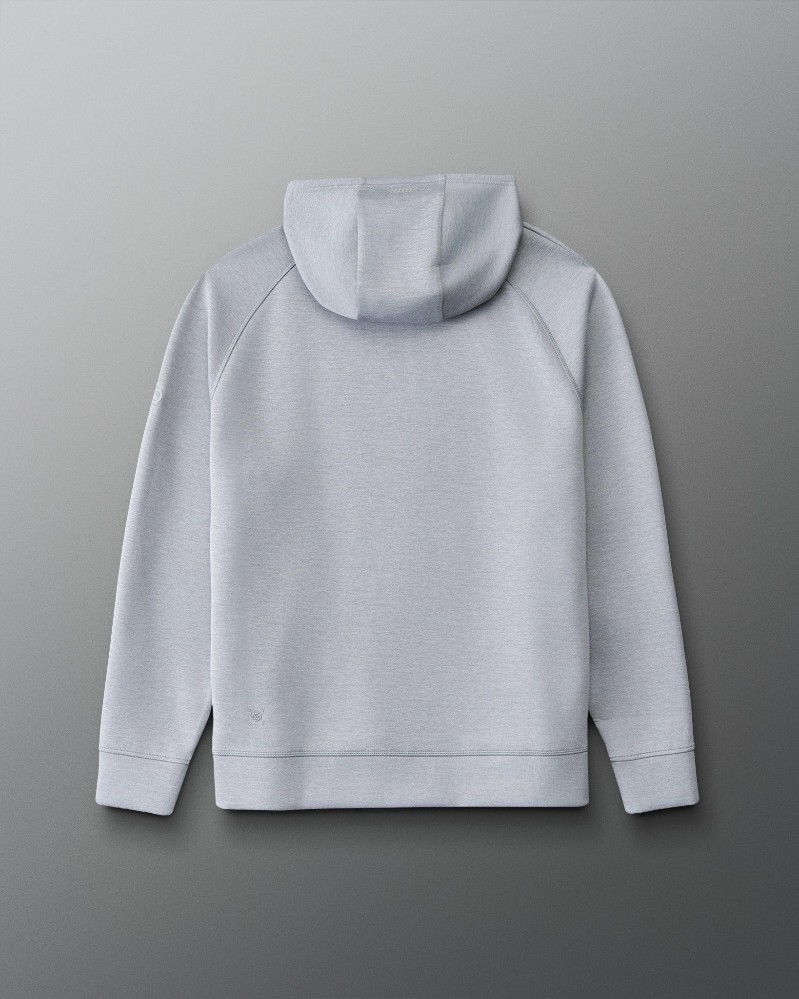 A light gray hooded sweatshirt shown from the back, featuring a simple back view with raglan sleeves and ribbed cuffs and hem, displayed on a neutral gray gradient background.