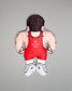 Pillow of a wrestler in a red singlet with 'Shultz USA' branding on a gray background