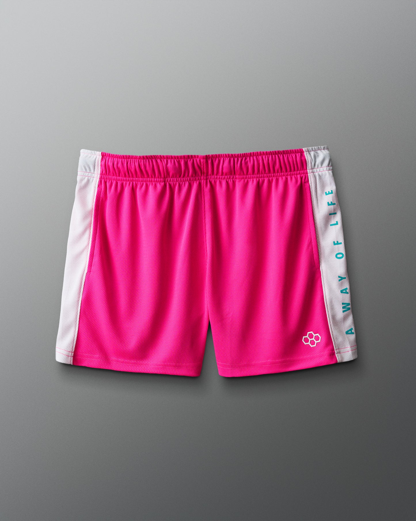RUDIS 3" Premium Panel Mesh Short