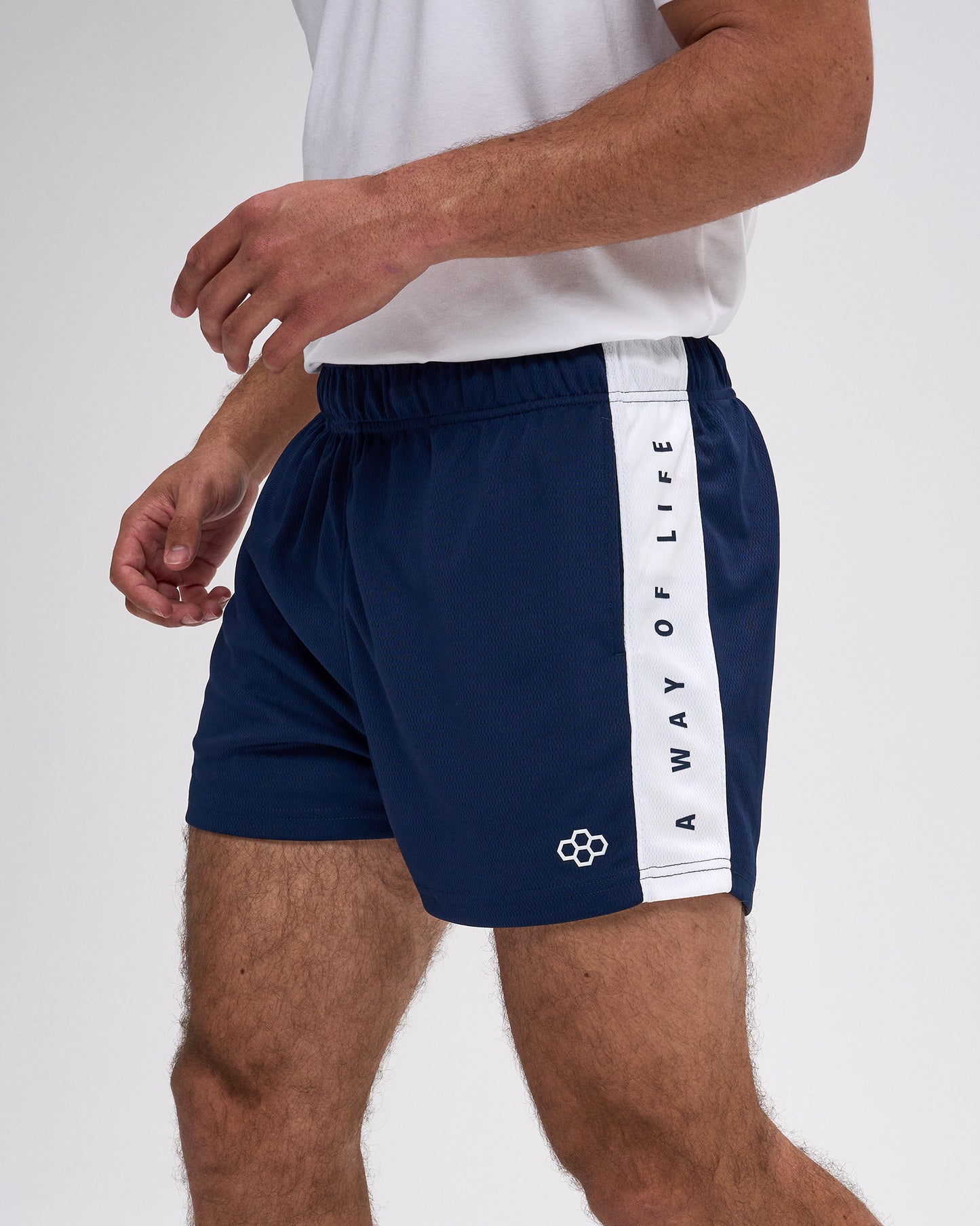 RUDIS 3" Premium Panel Mesh Short