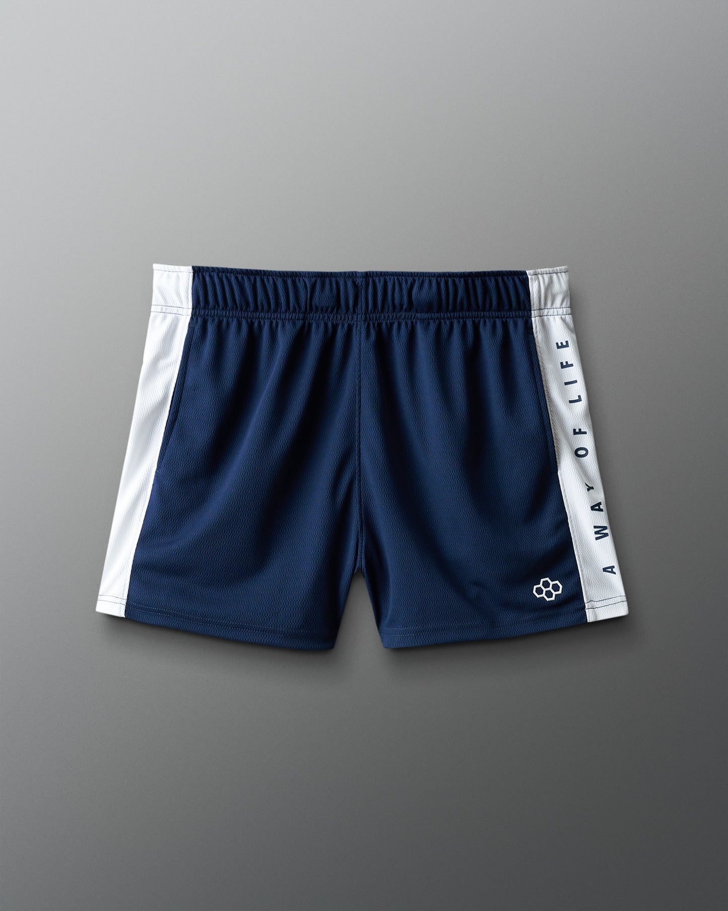 RUDIS 3" Premium Panel Mesh Short
