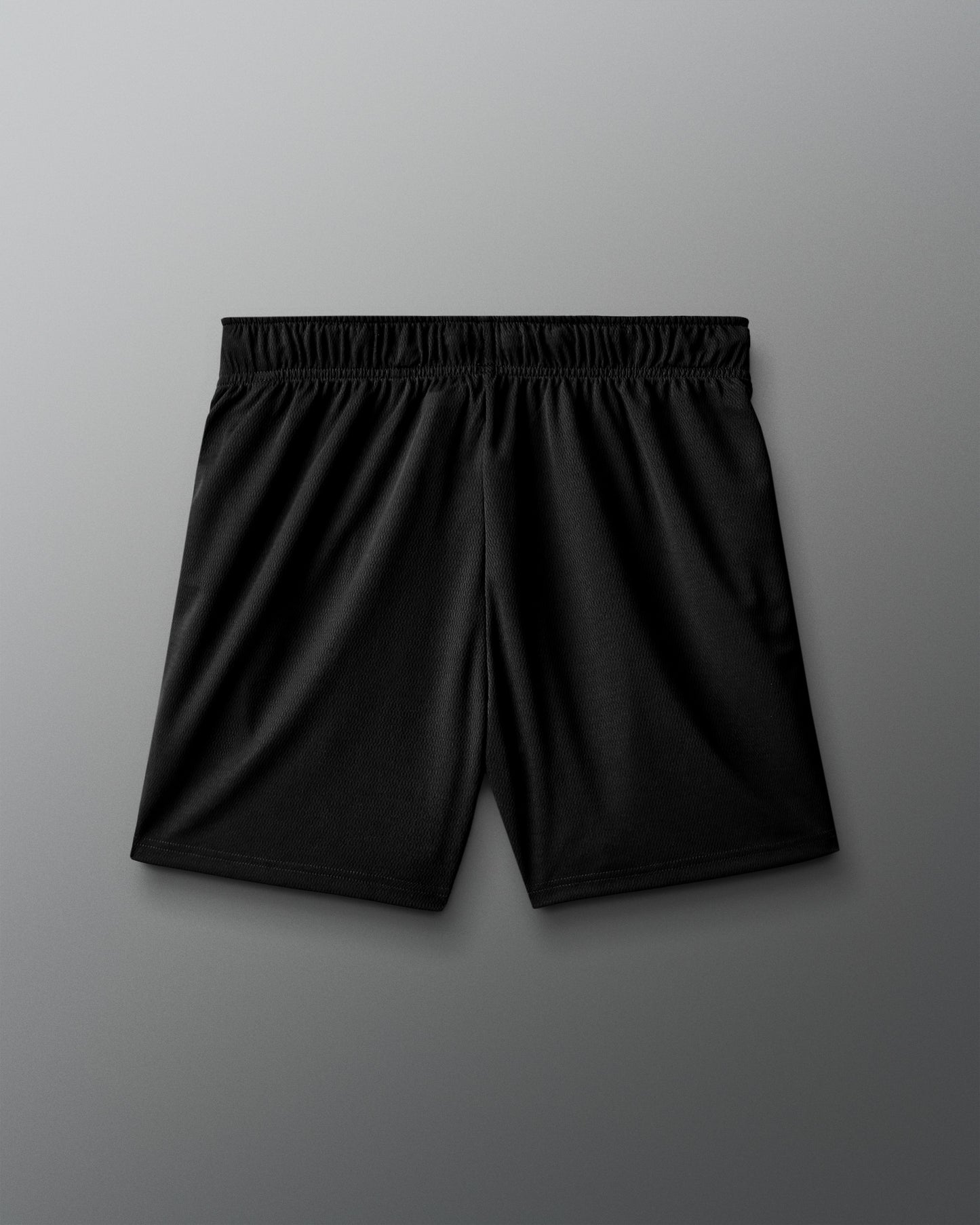 RUDIS 5" Mesh Shorts