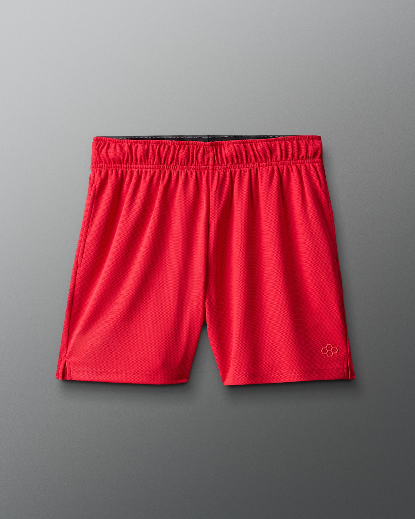 RUDIS 5" Mesh Shorts