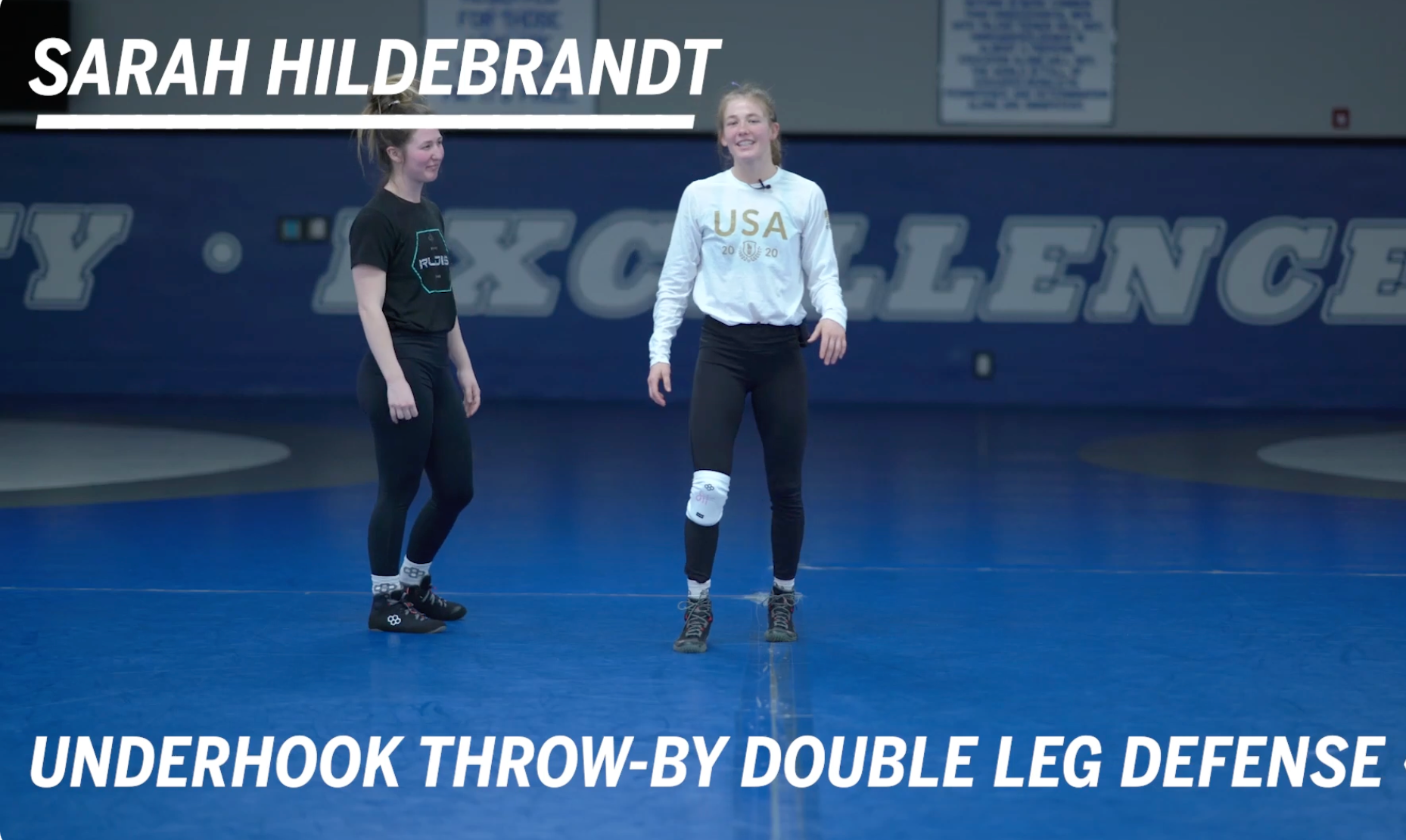 I18n Error: Missing interpolation value &quot;description&quot; for &quot;Load video: {{ description }}&quot;