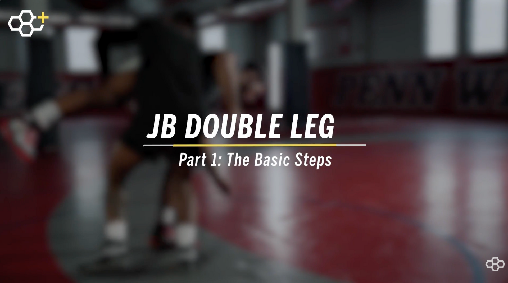 I18n Error: Missing interpolation value &quot;description&quot; for &quot;Load video: {{ description }}&quot;