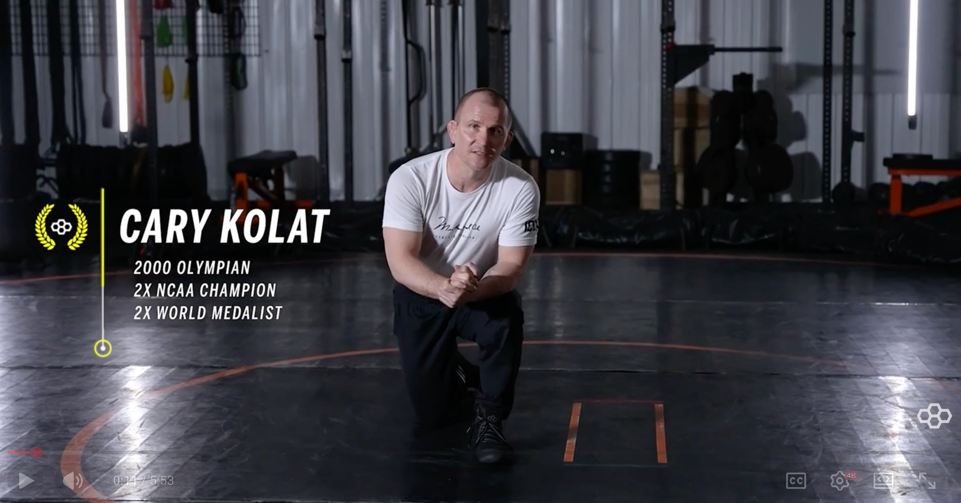 I18n Error: Missing interpolation value "description" for "Load video: {{ description }}"