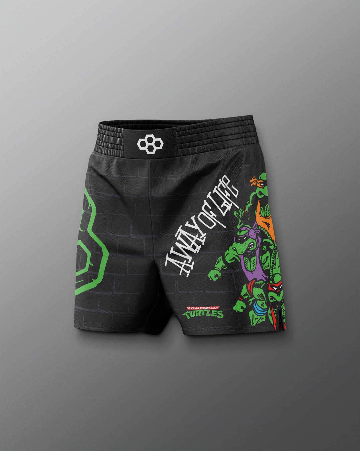 Black shorts with colorful graphics on a gray background. TMNT. Teenage Mutant Ninja Turtle