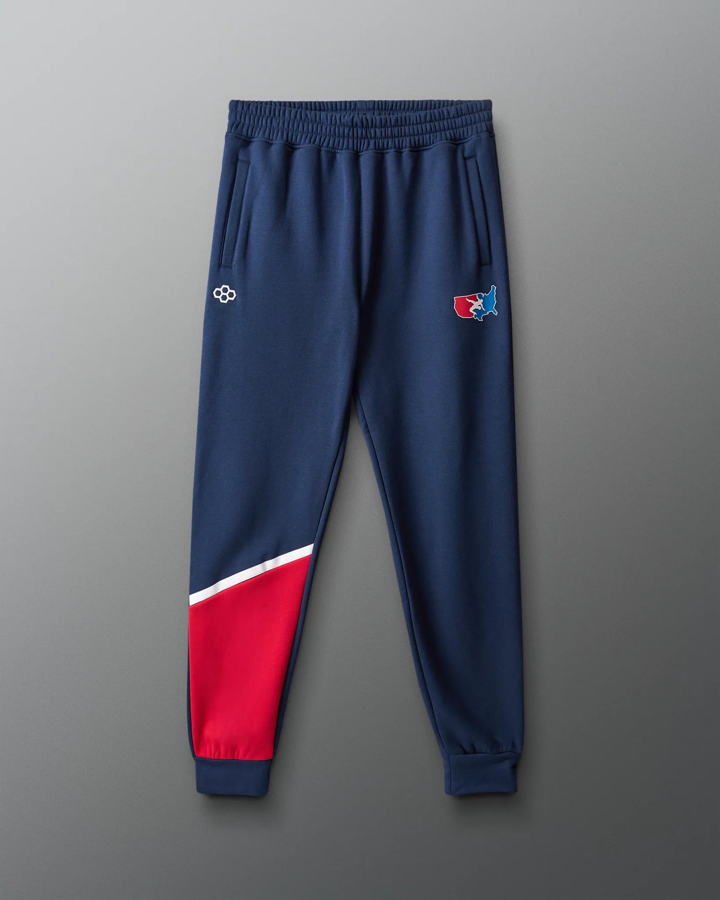 VIK - USA Wrestling Map Colorblock Jogger