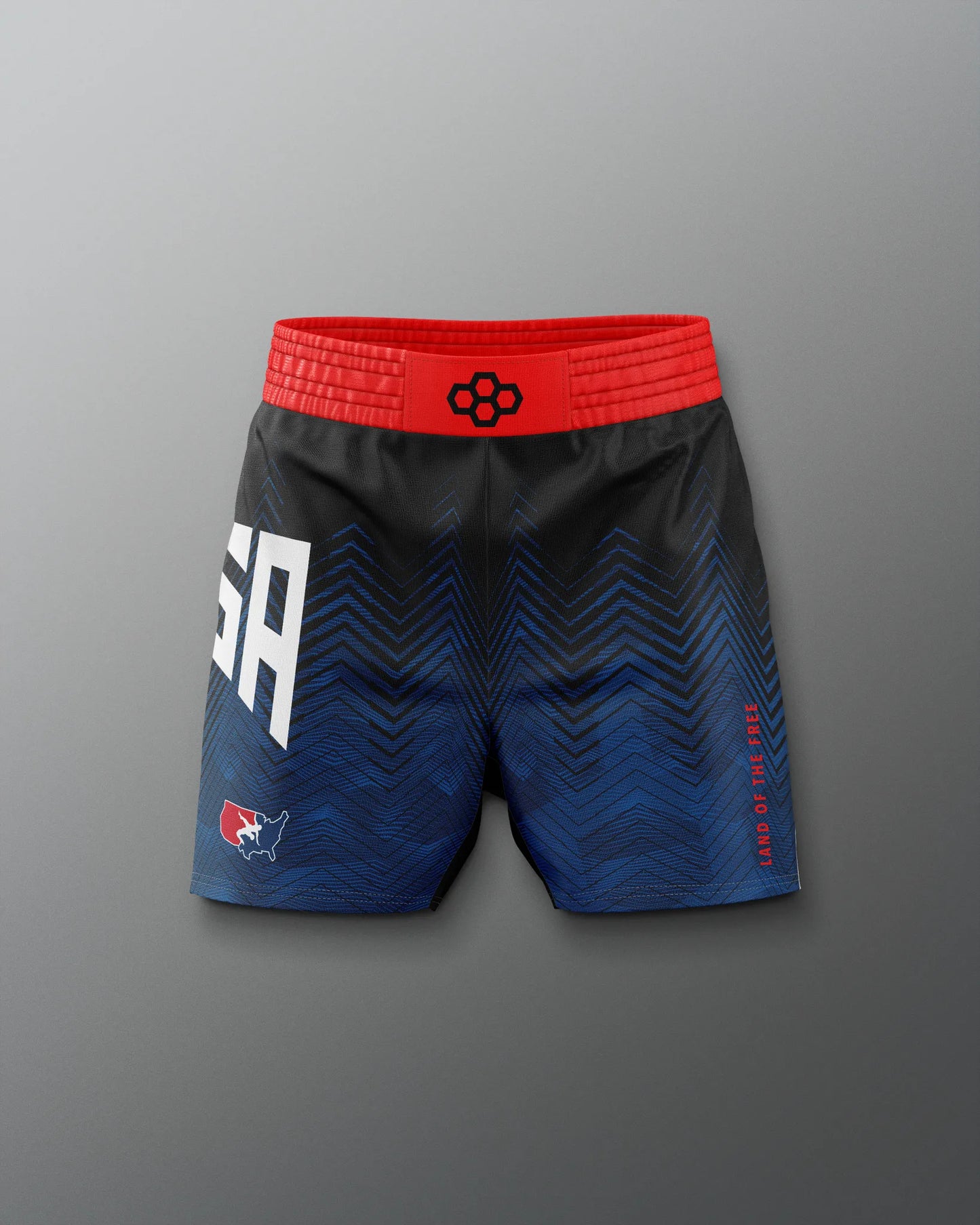 VIK - USAW Icon Sublimated Shorts