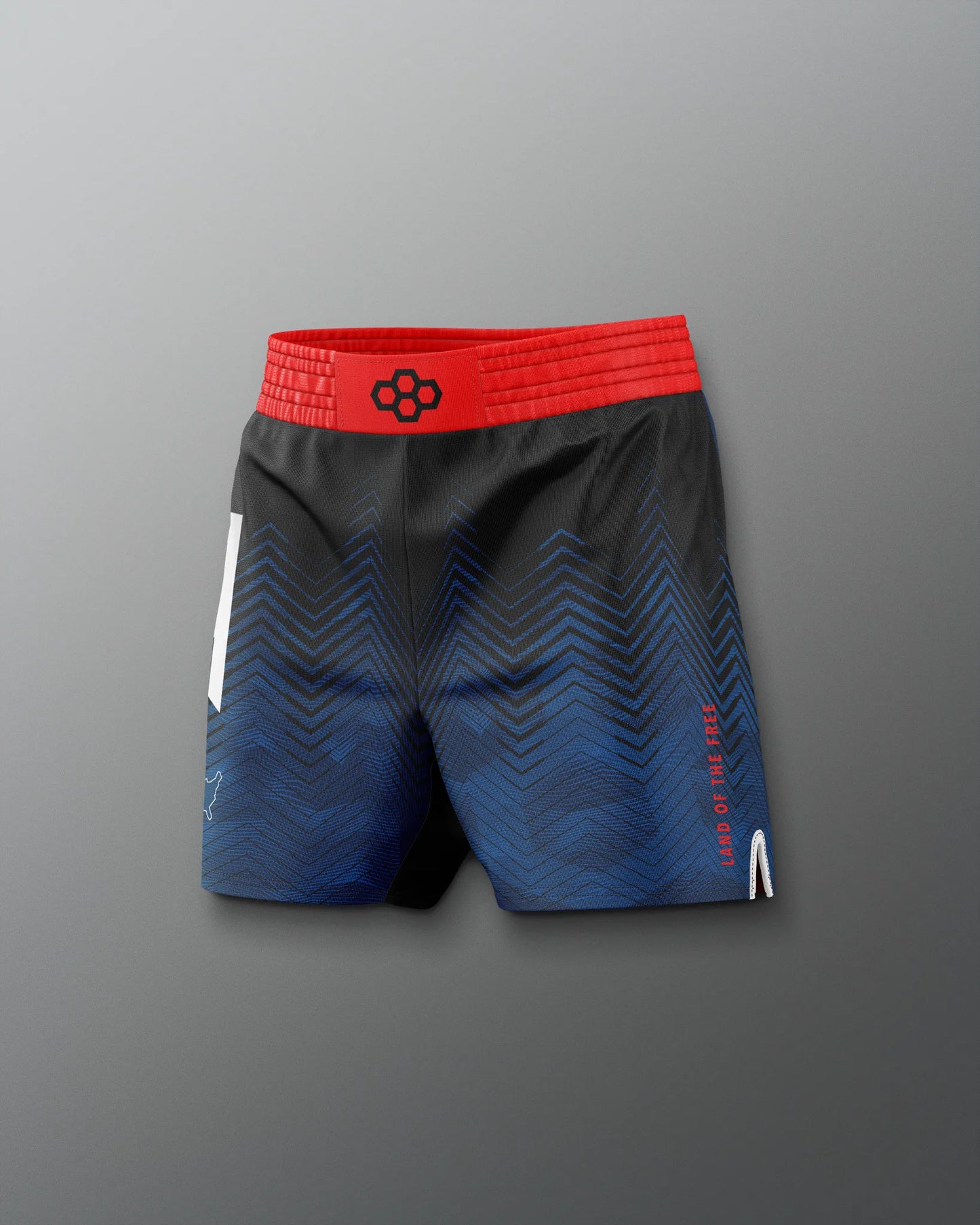 VIK - USAW Icon Sublimated Shorts