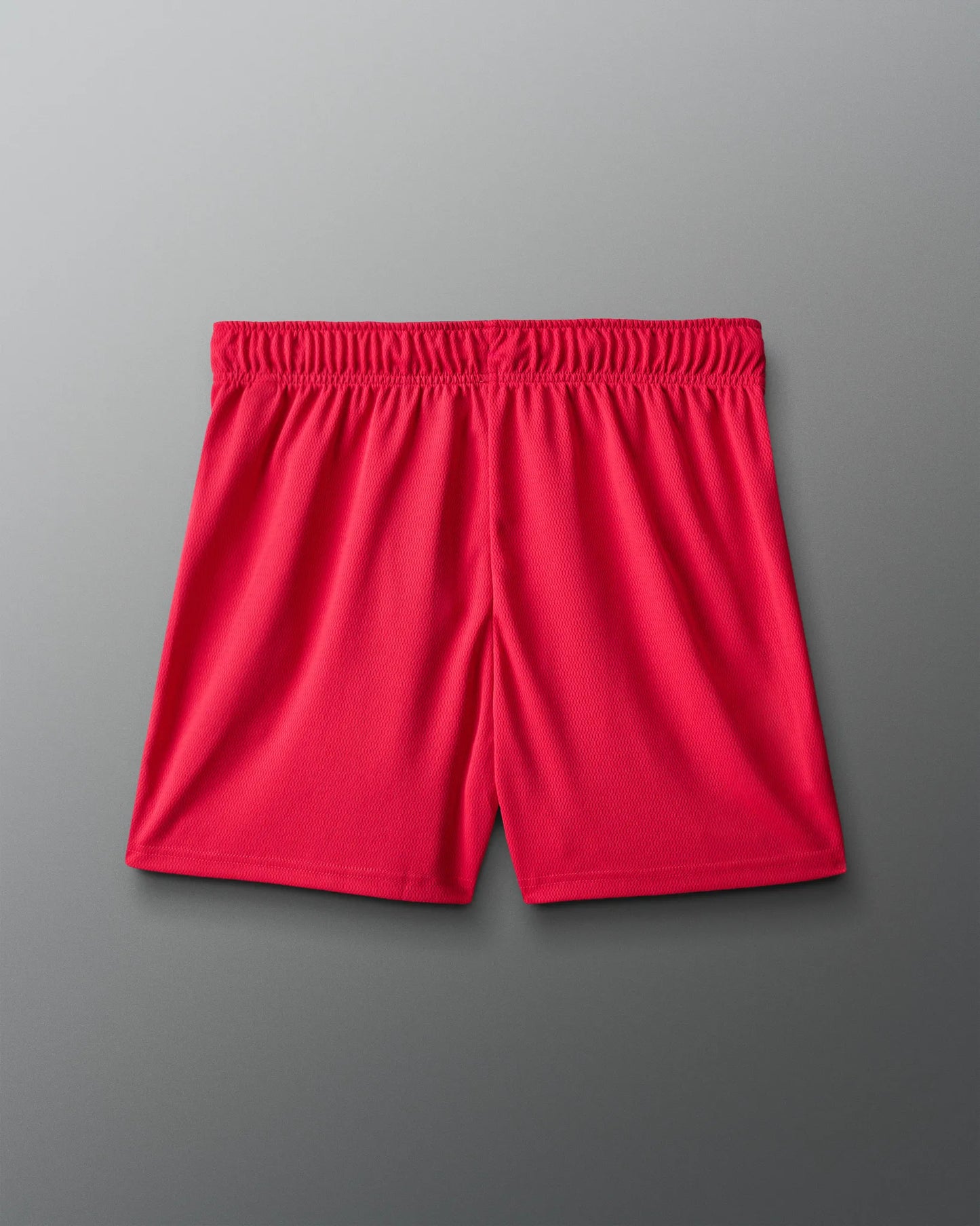 VIK - USA Wrestling 5" Mesh Shorts - Red